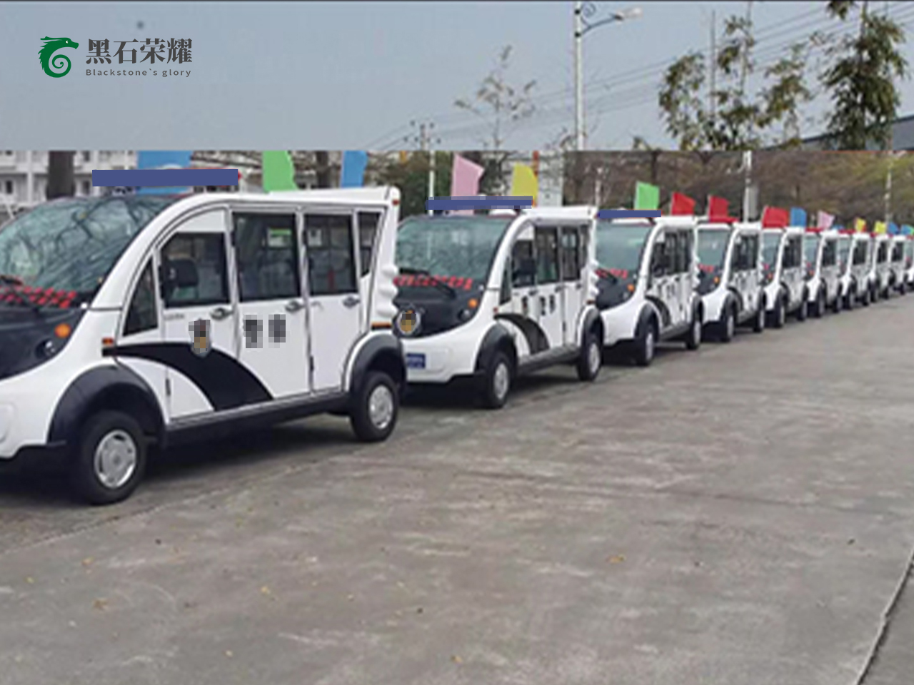 電動(dòng)巡邏車