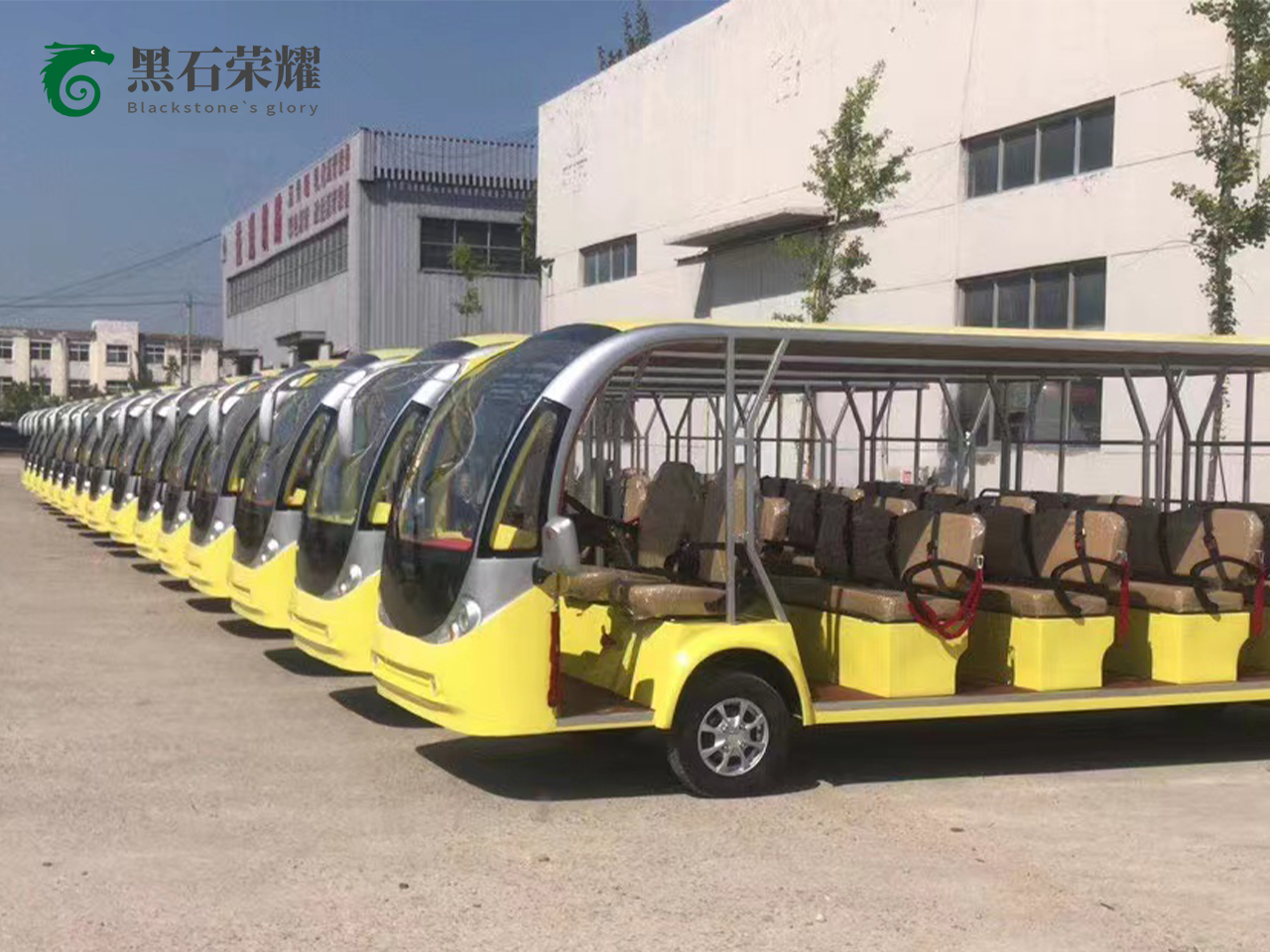 電動(dòng)觀光車景區(qū)用系列