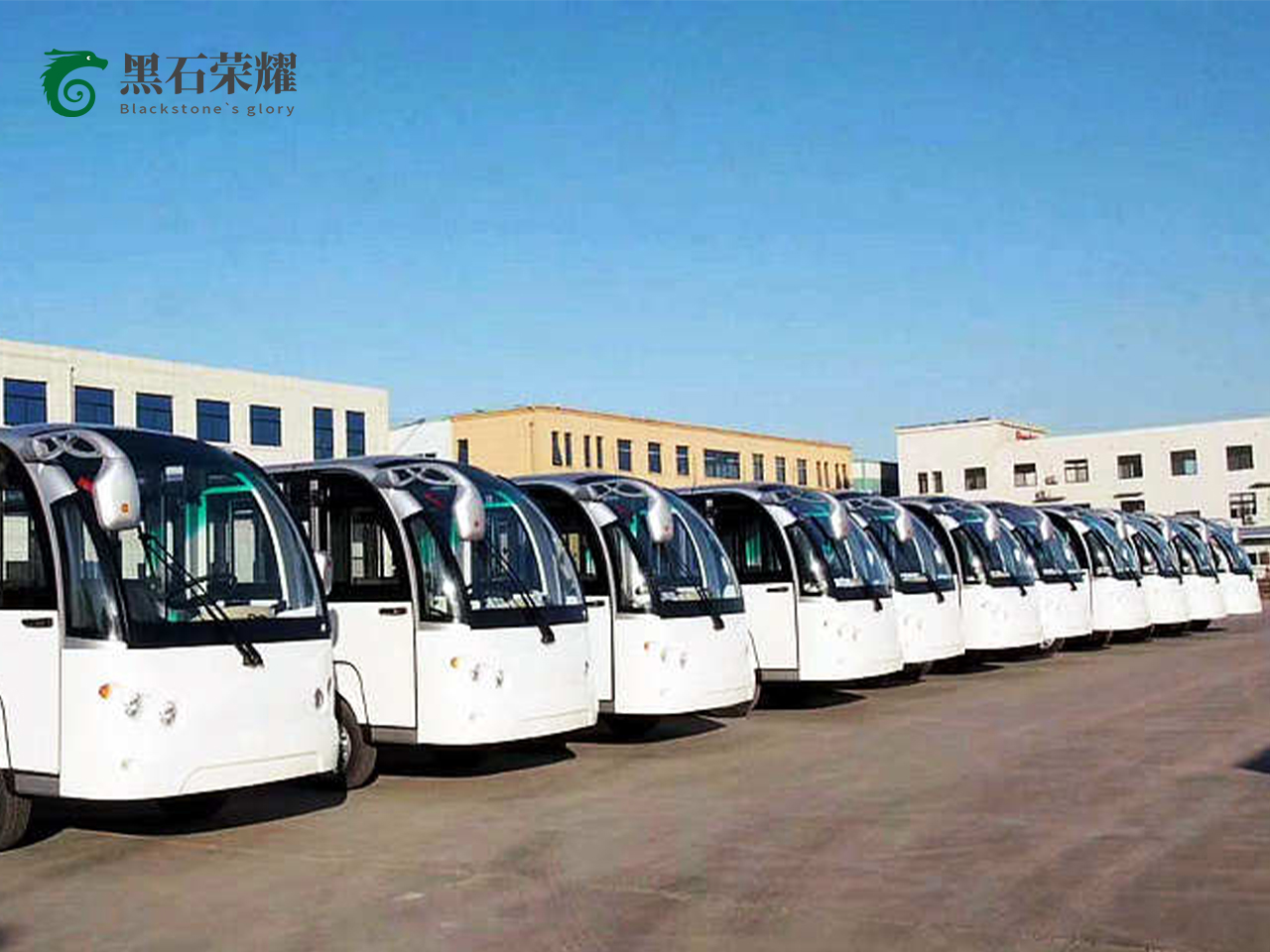 電動(dòng)觀光車景區(qū)用系列