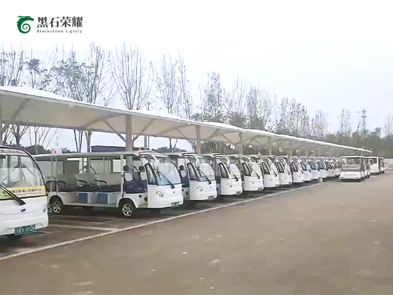 電動(dòng)觀光車景區(qū)用系列