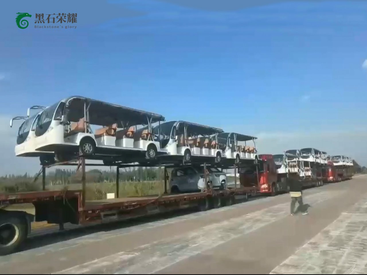 電動(dòng)觀光車景區(qū)用系列