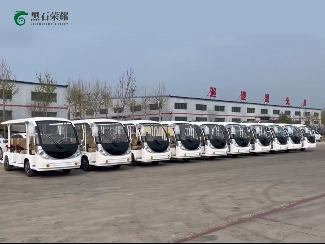 電動(dòng)觀光車景區(qū)用系列