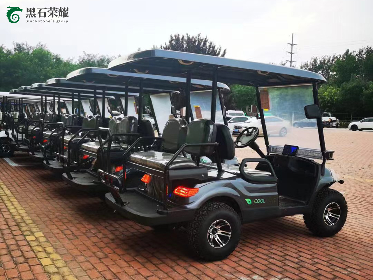 電動(dòng)高爾夫球車(chē)